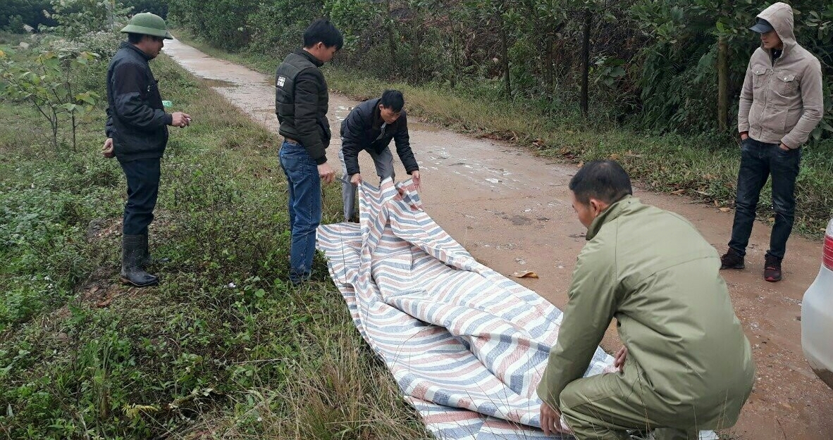 Cán bộ xã Nam Sơn, huyện Ba Chẽ khẩn trương phát bạt che chắn chuồng trại hco người dân