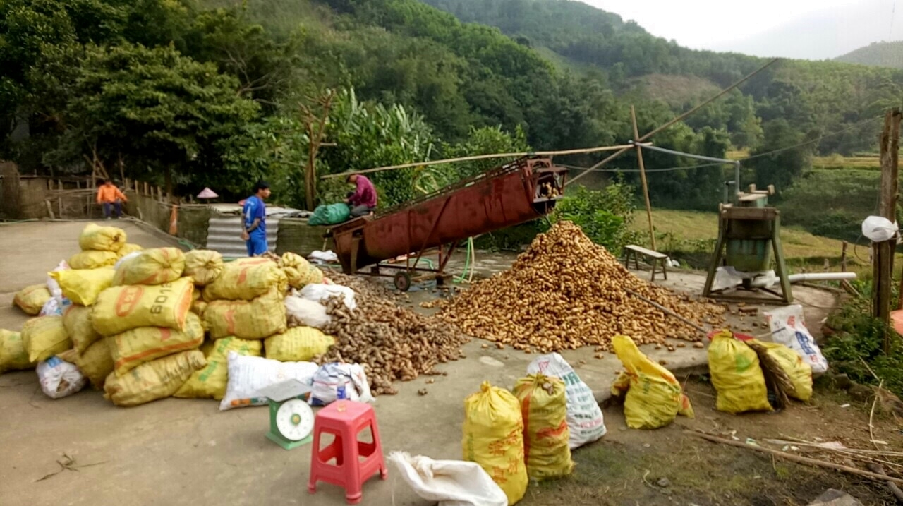 Nếu