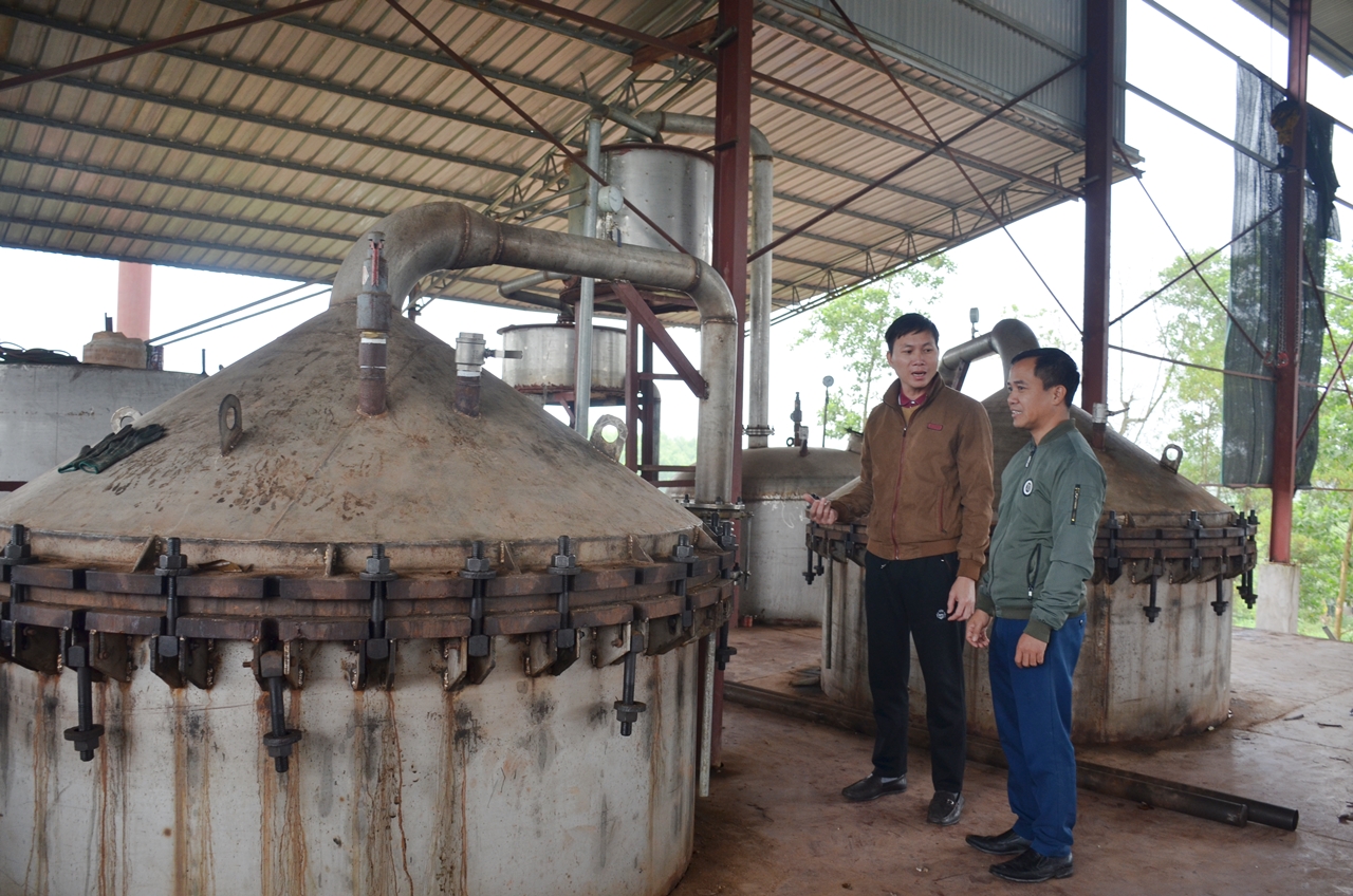 Hệ thống máy ép tinh dầu quế