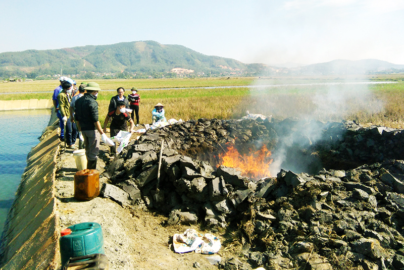 Xã Sông Khoai, TX Quảng Yên tiêu hủy đàn vịt bị bệnh. Ảnh Hoàng Nga