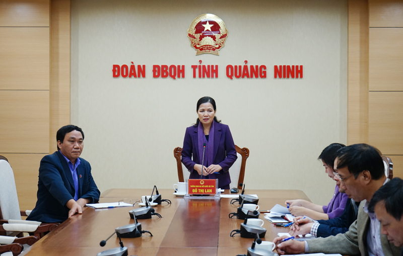 Đồng chí Đỗ Thị Lan Trưởng đoàn ĐBQH tỉnh phát biểu tại cuộc họp