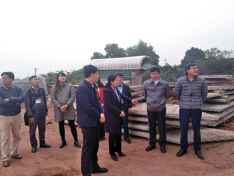 Đoàn giám sát, giám sát việc triển khai dự án xây dựng quốc môn Cầu Bắc Luân II.