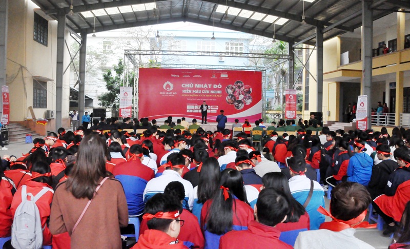 Quang cảnh 
