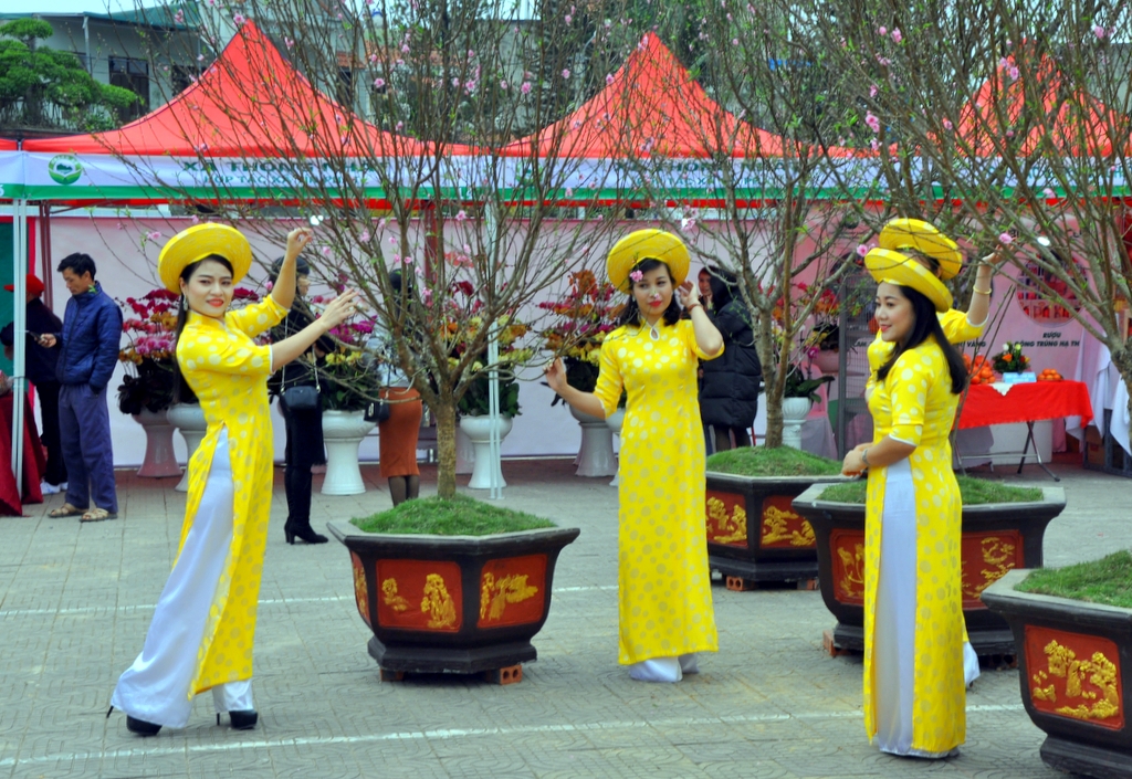 Du khách sắm sửa cho mình những bộ áo dài thật đẹp để tạo dáng bên hoa.