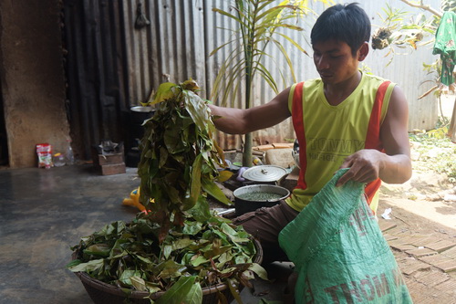 Rau bép - đặc sản của đại ngàn.
