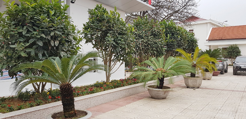 Người dân khu phố 
