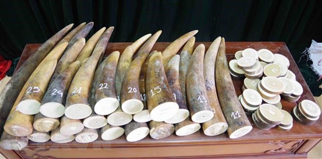 (Ảnh minh họa: Thế Tùng/TTXVN phát)