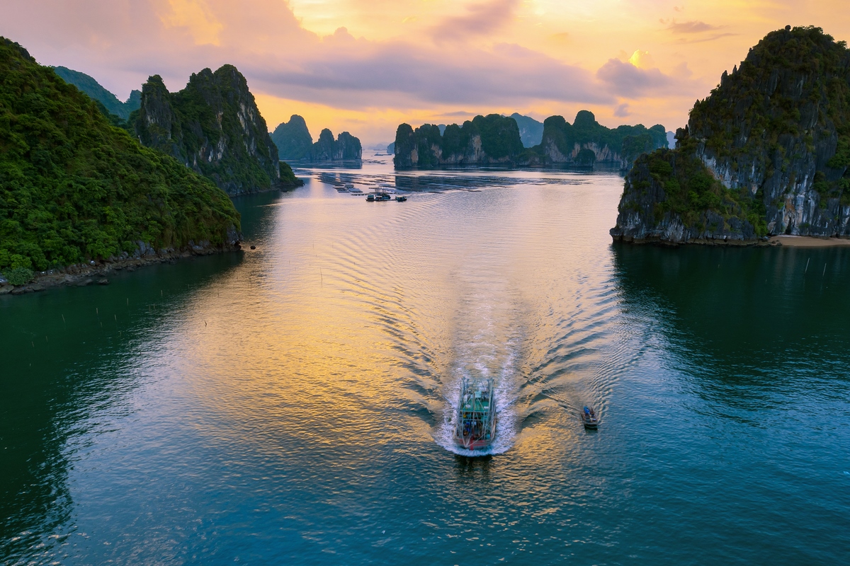 Ngoài khơi những con tàu đầy ắp cá đang trở về