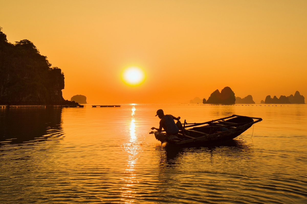 Trên vịnh, những ngư dân thả lưới dưới ánh nắng rực rỡ buổi bình minh