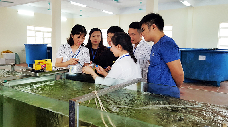 Sinh viên Khoa Thủy sản, Trường ĐH Hạ Long thực hành tại khu thực nghiệm 