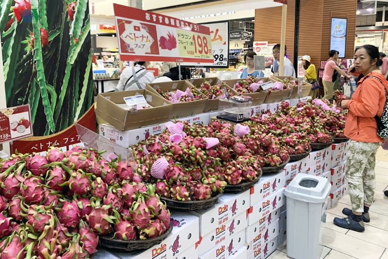 Trái thanh long của Việt Nam được lựa chọn và trưng bày nổi bật nhằm giới thiệu trực tiếp đến người tiêu dùng.