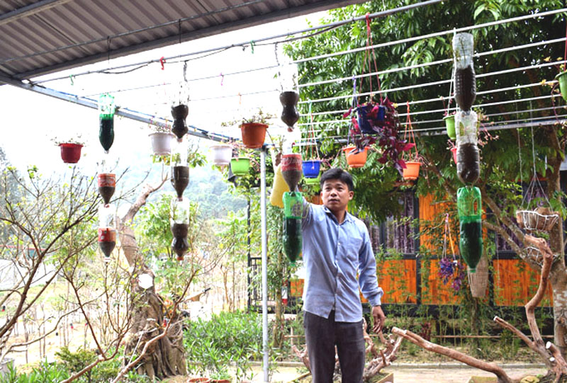 Hoa được trồng trong chai nhựa thân thiện môi trường tại 