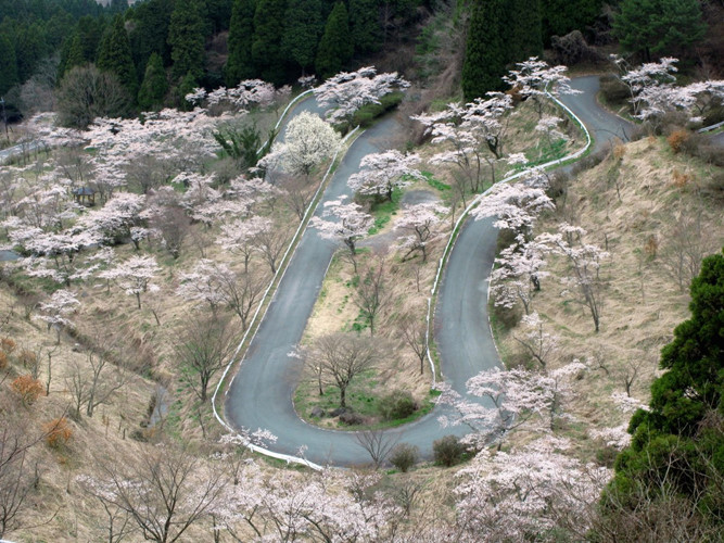  Đường Touge ở Nhật Bản dẫn đến miệng núi lửa của núi Phú Sĩ đẹp như tranh vẽ. Đây là ngọn núi lửa đang hoạt động và cũng là đỉnh núi cao nhất ở Nhật Bản.