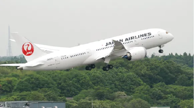 Máy bay của hãng hàng không Japan Airlines. (Ảnh: AP)