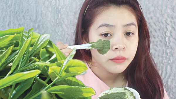 Axít tannic và theobromine trong trà giúp loại bỏ nhiệt từ da bị cháy nắng