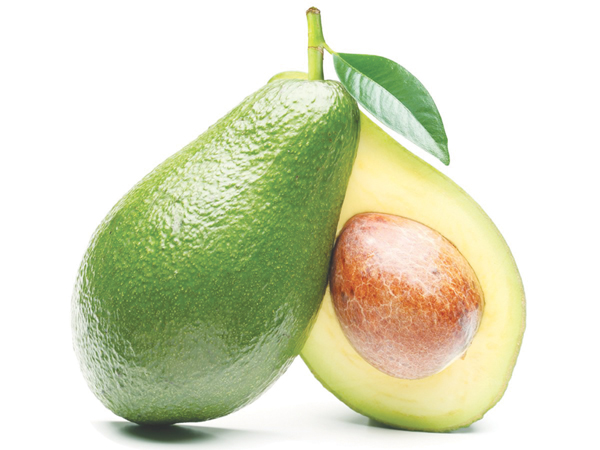 Dầu quả bơ rất giàu các vitamin E, D, -carotene, protein, lecithin và các axít béo