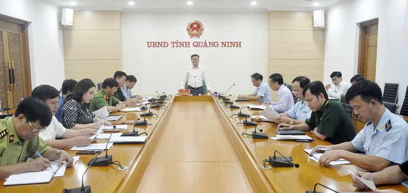 Đồng chí Phó Chủ tịch UBND tỉnh chỉ đạo tại hội nghị.