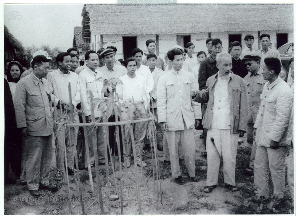 Chủ tịch Hồ Chí Minh thăm Nông trường Hữu Nghị, Móng Cái, ngày 20/2/1960. 