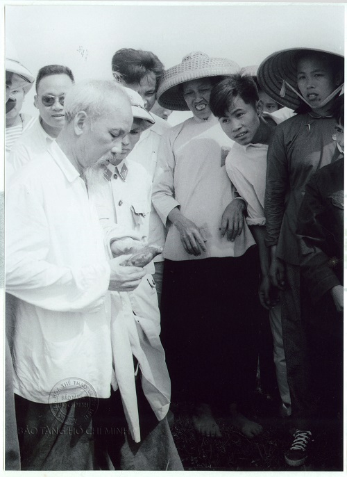 Mô tả ảnh.