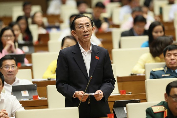 Đại biểu Trần Hoàng Ngân 