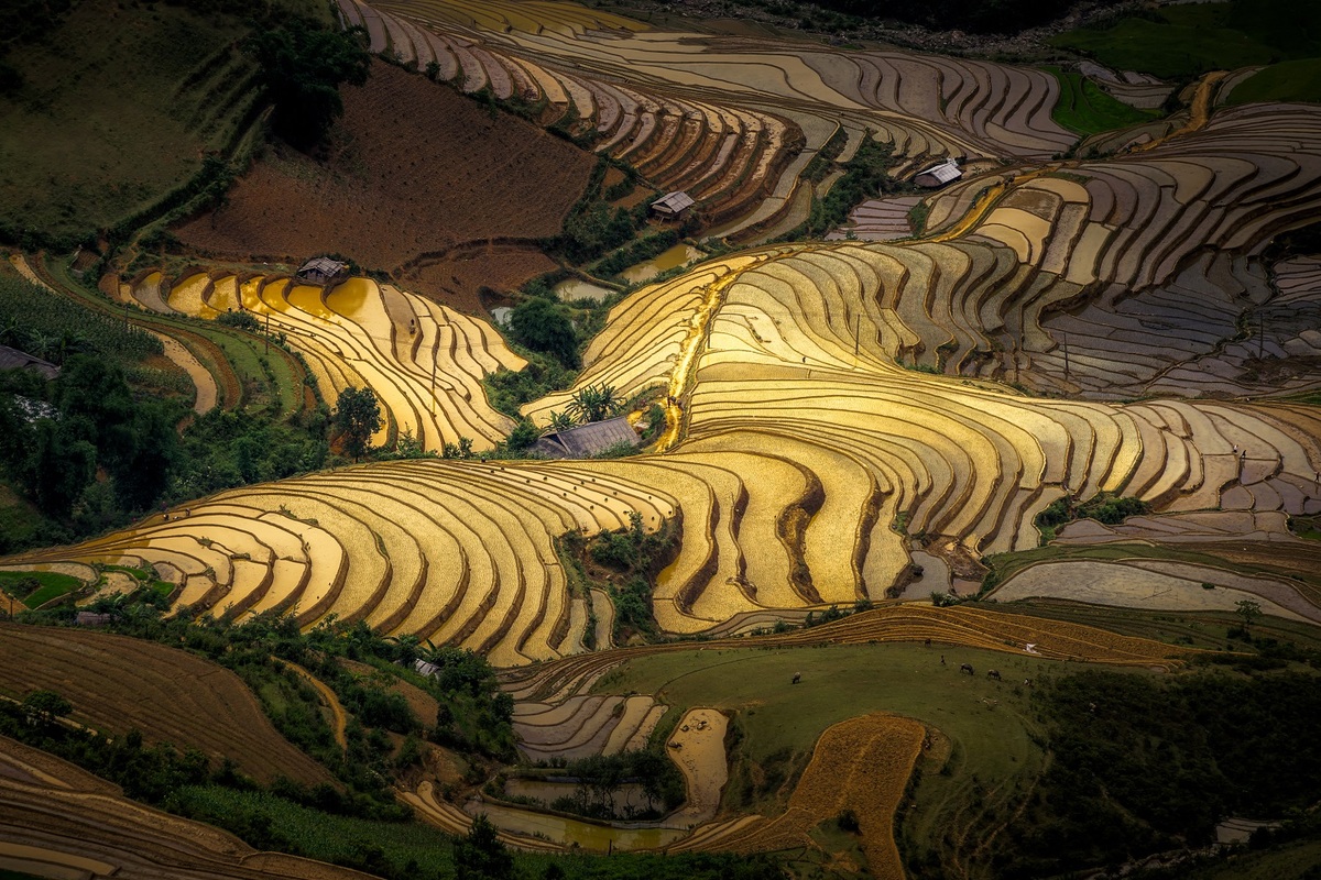 Mùa nước đổ Mùa nước đổ