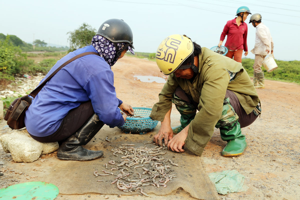 Khai thác thủy sản bằng các nghề cấm, đặc biệt là khán điện ảnh hưởng nghiêm trọng tới nguồn lợi thủy sản.