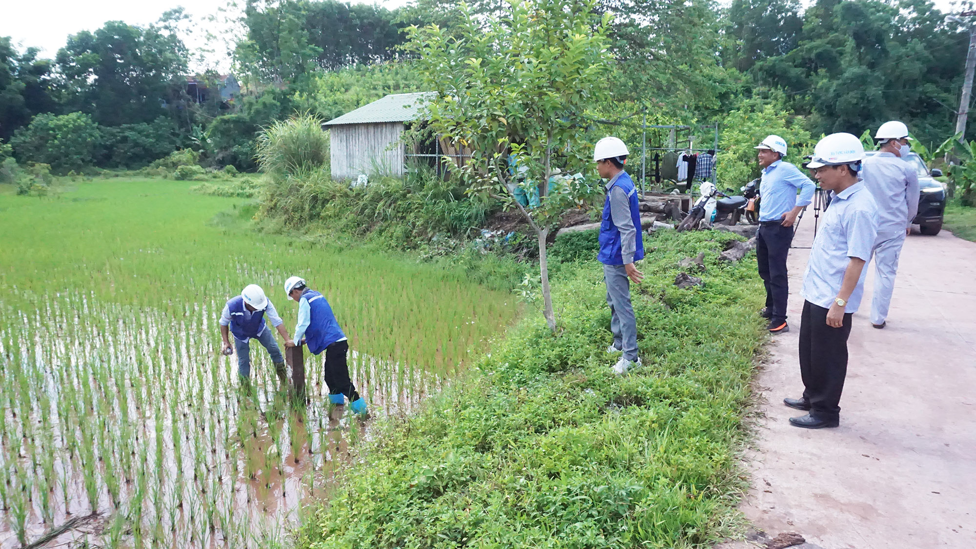 Huyện Tiên Yên bàn giao mặt bằng cho Chủ đầu tư và nhà thầu thi công tại xã Đông Hải.