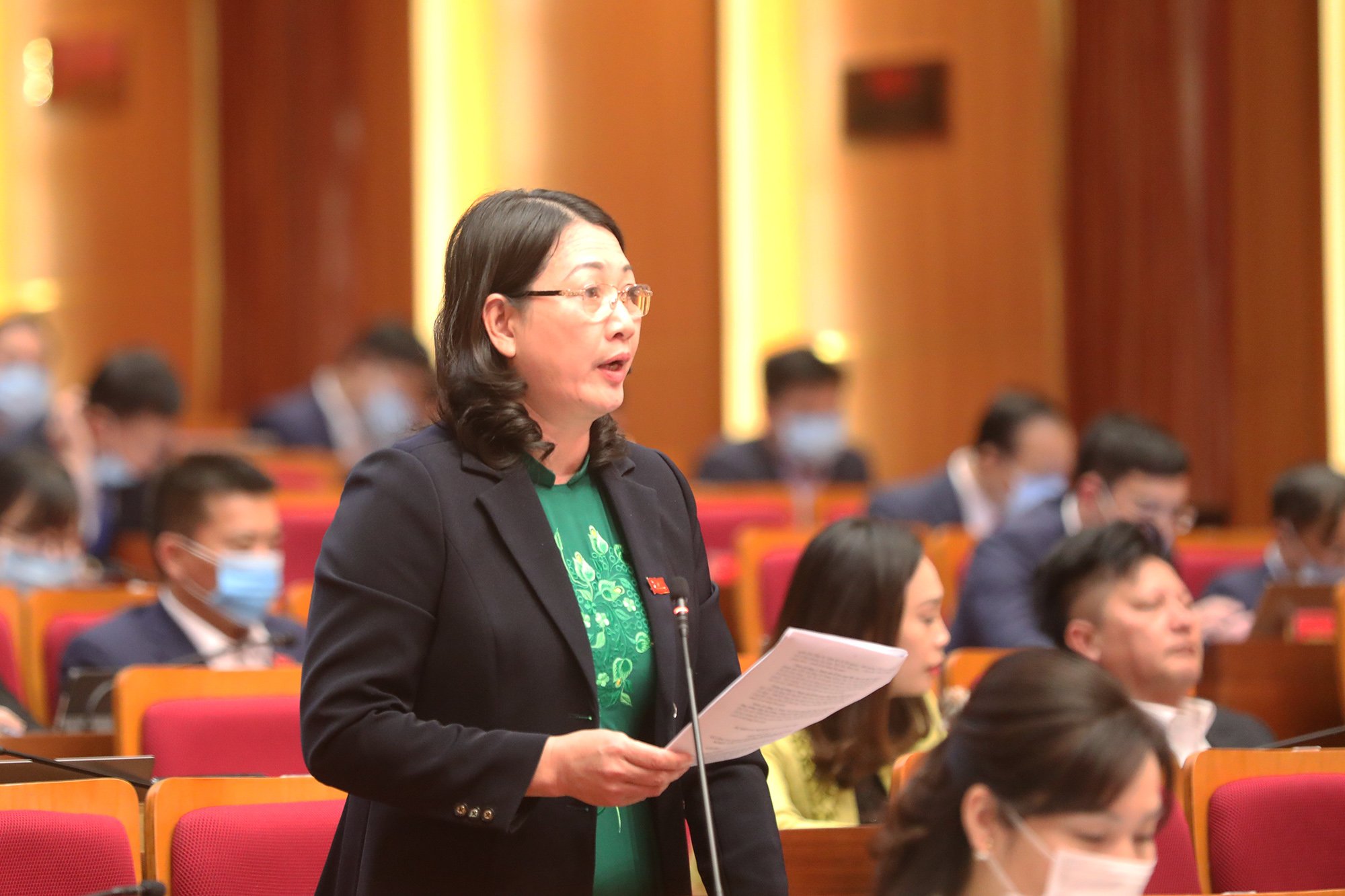 Đại biểu Bùi Thị Thu Hà, Tổ đại biểu TP Hạ Long.