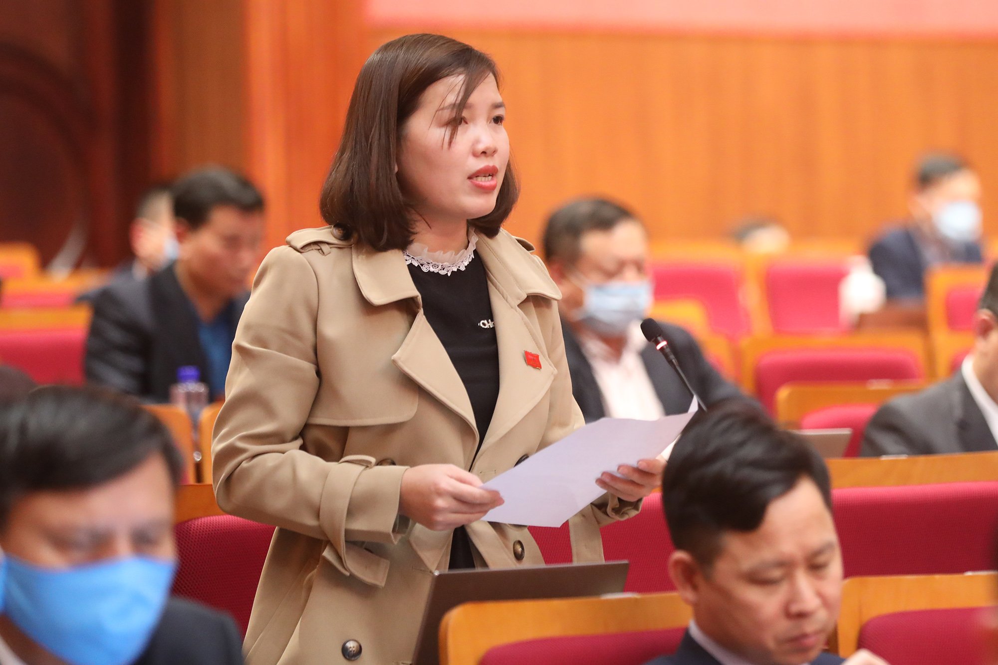 Đại biểu Trần Thị Thiêm, Tổ đại biểu huyện Hải Hà.