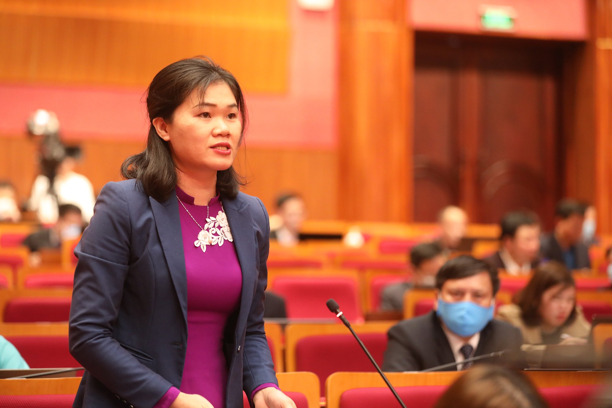Đại biểu Lài Thị Hiền, Tổ đại biểu Bình Liêu.