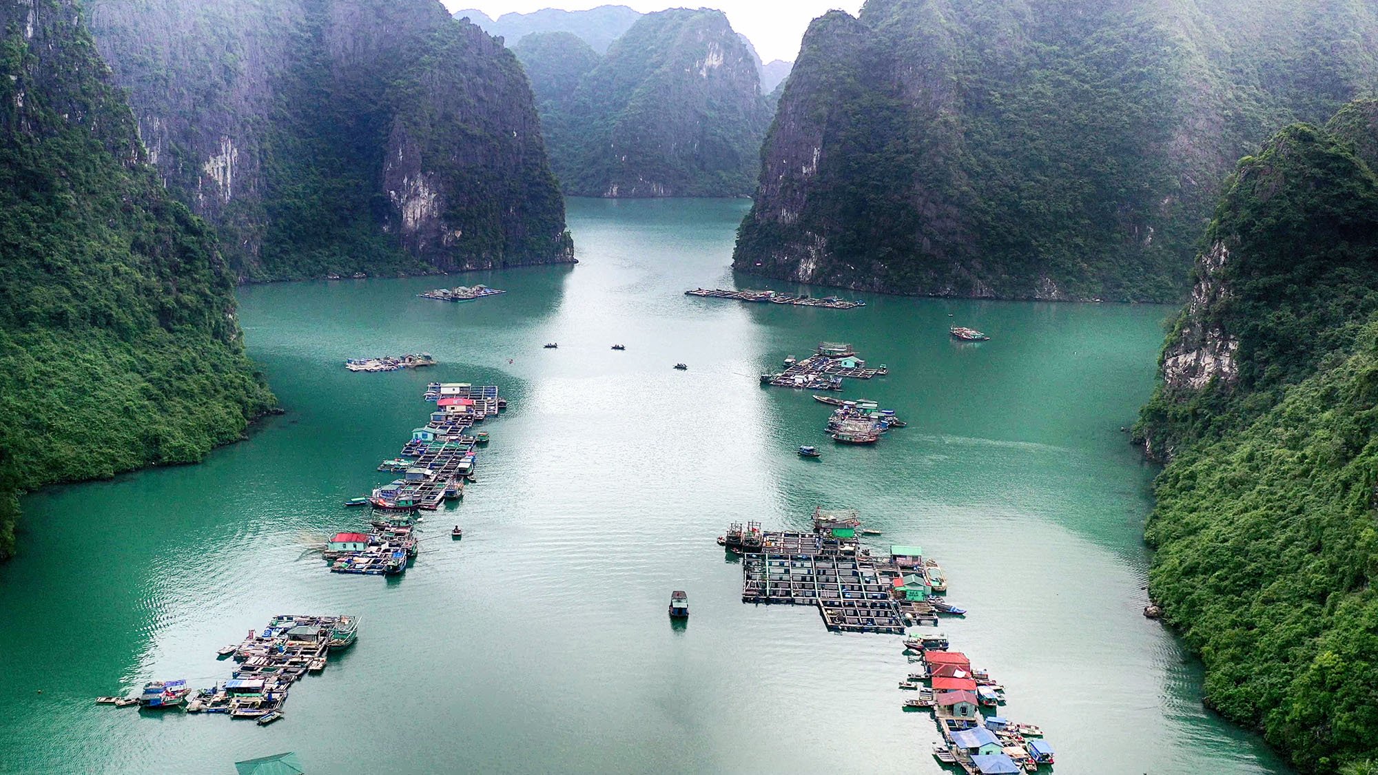 https://media.baoquangninh.com.vn/dataimages/202012/original/images1460792_z2254557862275_31032528334dd6aedf3bc4abcad13b73.jpg