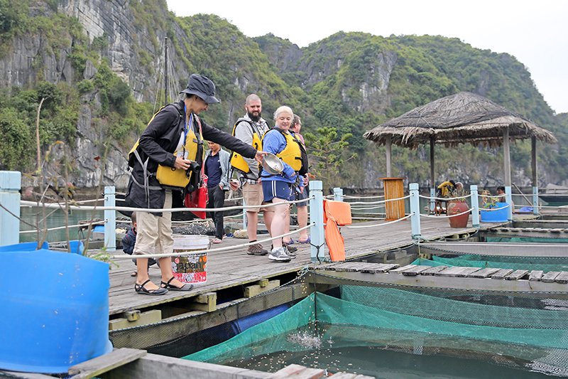 https://media.baoquangninh.com.vn/dataimages/202012/original/images1460799_z2254557337539_5199b0407a50bd97d409acd9f1ceadb7.jpg