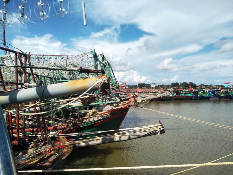 Sản lượng khai thác thủy sản trong 2 tháng đầu năm trên địa bàn huyện đạt hơn