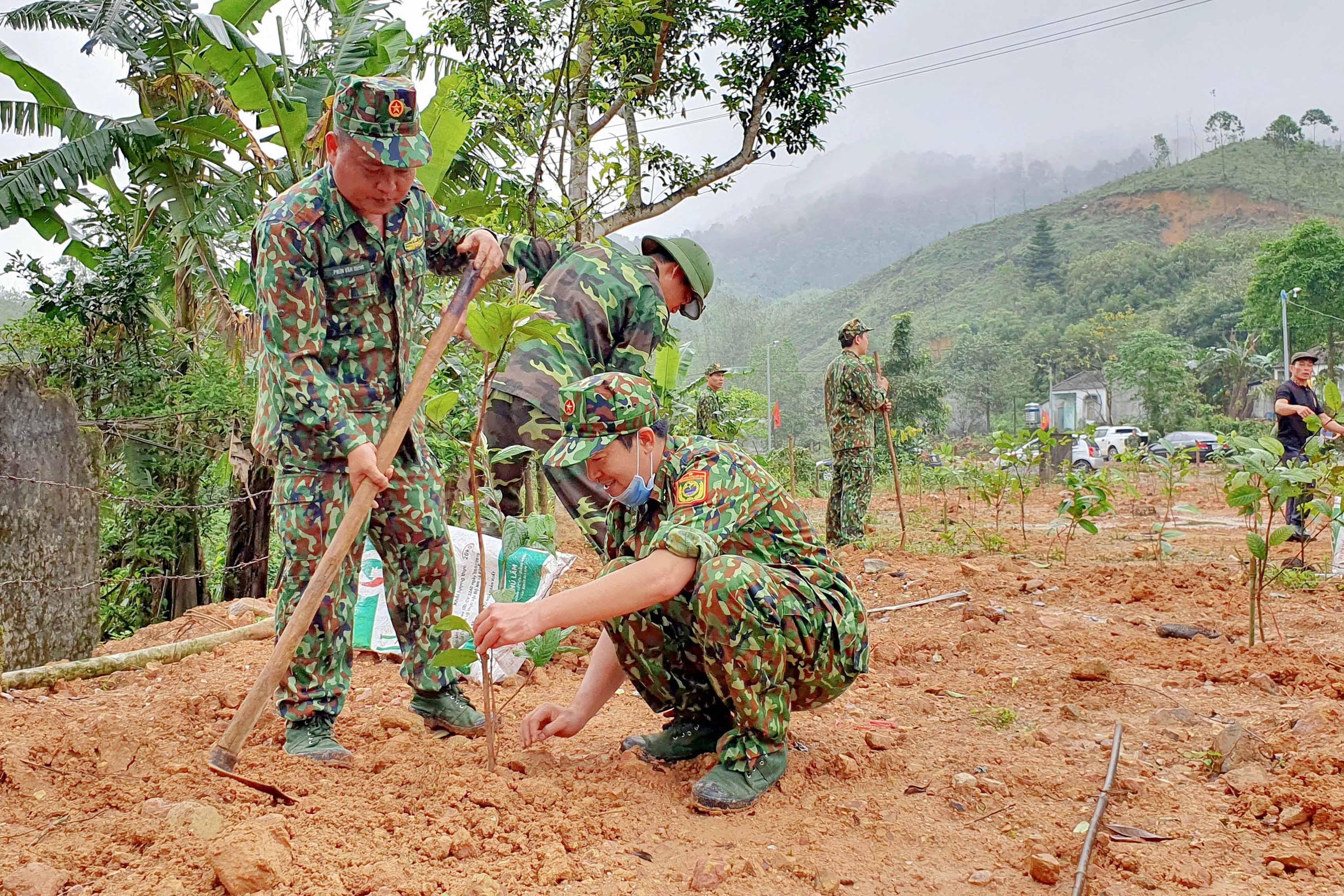 CBCS Đồn BP Quảng Đức trực tiếp hỗ trợ hộ dân trồng cây theo mô hình 