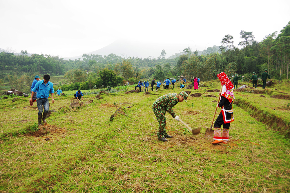 CBCS Đồn BPCK Hoành Mô hướng dẫn người dân kỹ thuật trồng cây theo mô hình