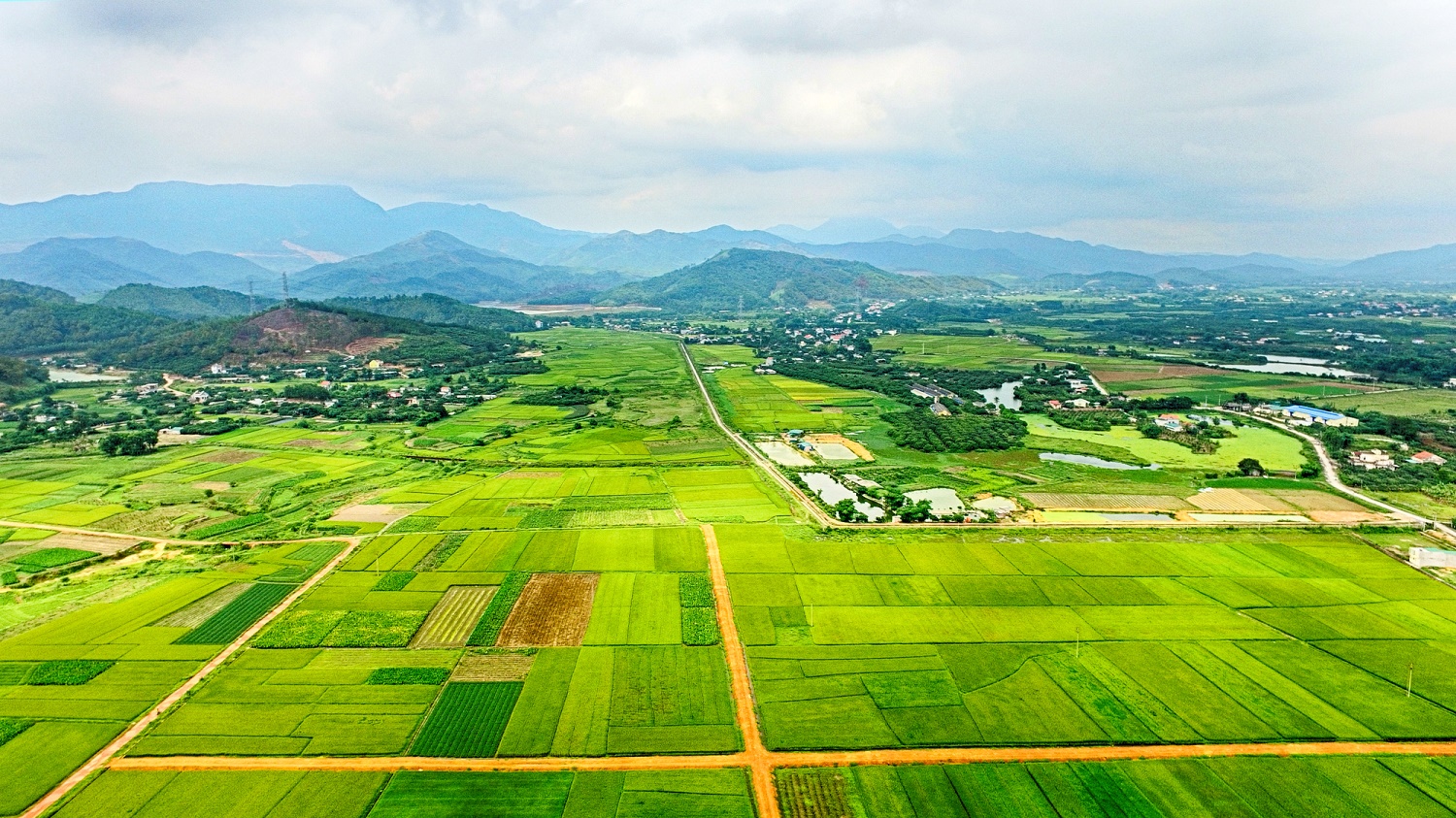 Nhìn từ trên cao, vựa lúa Đông Triều - vùng quê NTM điển hình của Quảng Ninh đẹp tựa bức tranh.