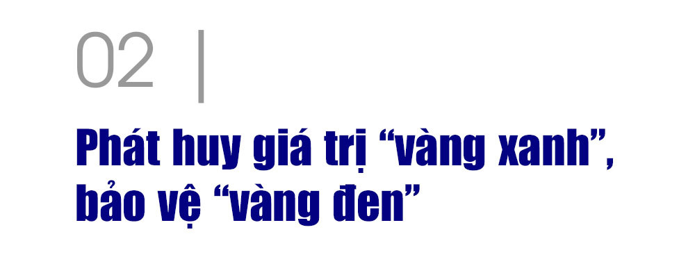 Ảnh trong văn bản