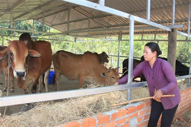 Chỉ thị của Ban Bí thư về công tác giảm nghèo bền vững đến năm 2030 hình ảnh 1 Chi thi cua Ban Bi thu ve cong tac giam ngheo ben vung den nam 2030 hinh anh 1
