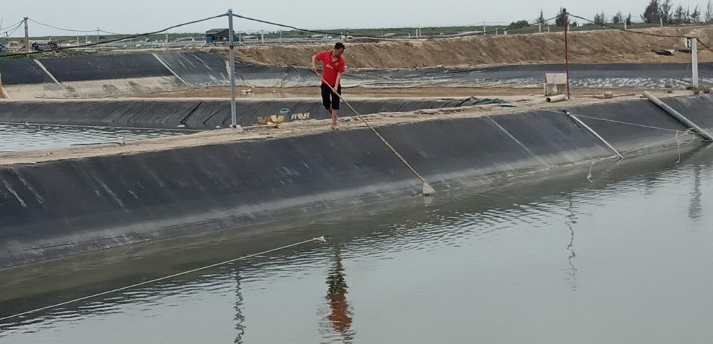 Hiện nay, hơn 5.400 hộ nuôi trồng thủy sản trên địa bàn TP Móng Cái đã thực hiện nghiêm công tác BVMT trong nuôi trồng thủy sản.