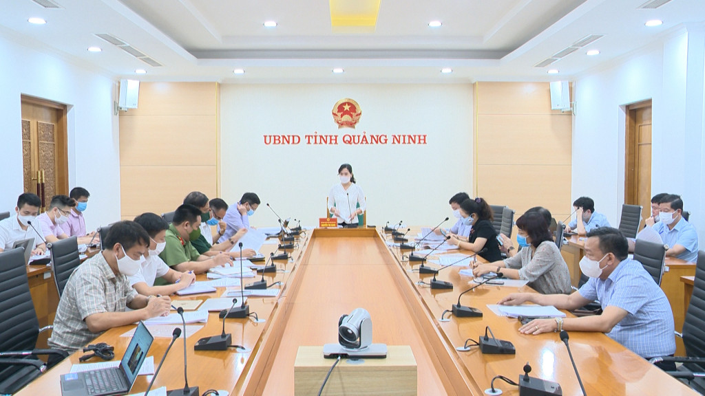 Đồng chí Nguyễn Thị Hạnh, Phó Chủ tịch UBND tỉnh kết luận cuộc họp.