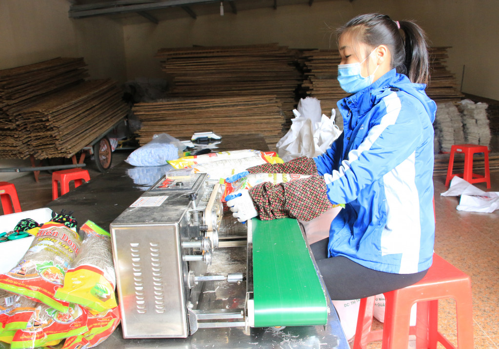 Sản phẩm OCOP chủ lực miến dong của huyện tiếp tục được đầu tư nâng cao chất lượng. Trong ảnh: Đóng gói miến dong tại Công ty Thương mại và Dịch vụ Bình Liêu.