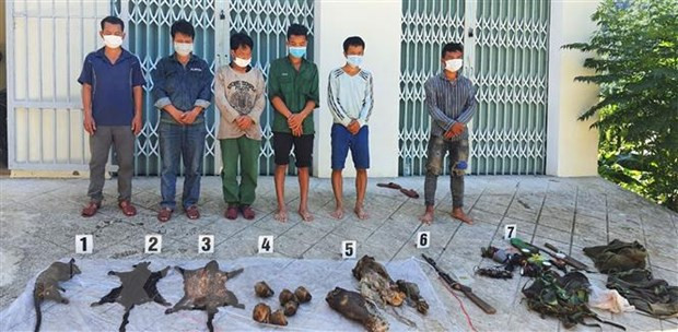 Thừa Thiên-Huế: Bắt giữ 6 đối tượng săn bắn thú trái phép hình ảnh 1 Thua Thien-Hue: Bat giu 6 doi tuong san ban thu trai phep hinh anh 1
