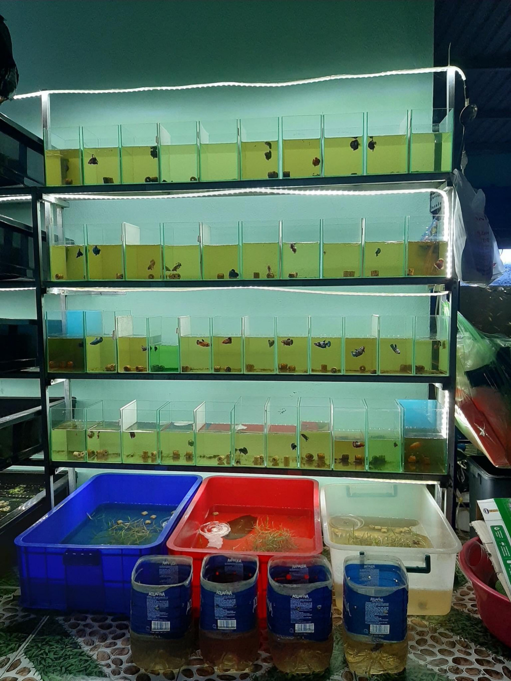 Đề tài này có tính ứng dụng cao.