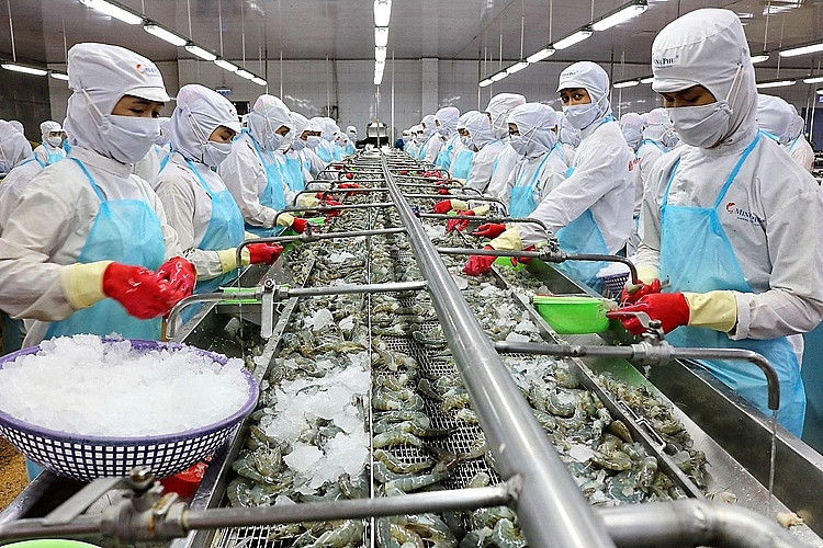 Hoạt động xuất khẩu thủy sản có nhiều khởi sắc Hoạt động xuất khẩu thủy sản có nhiều khởi sắc