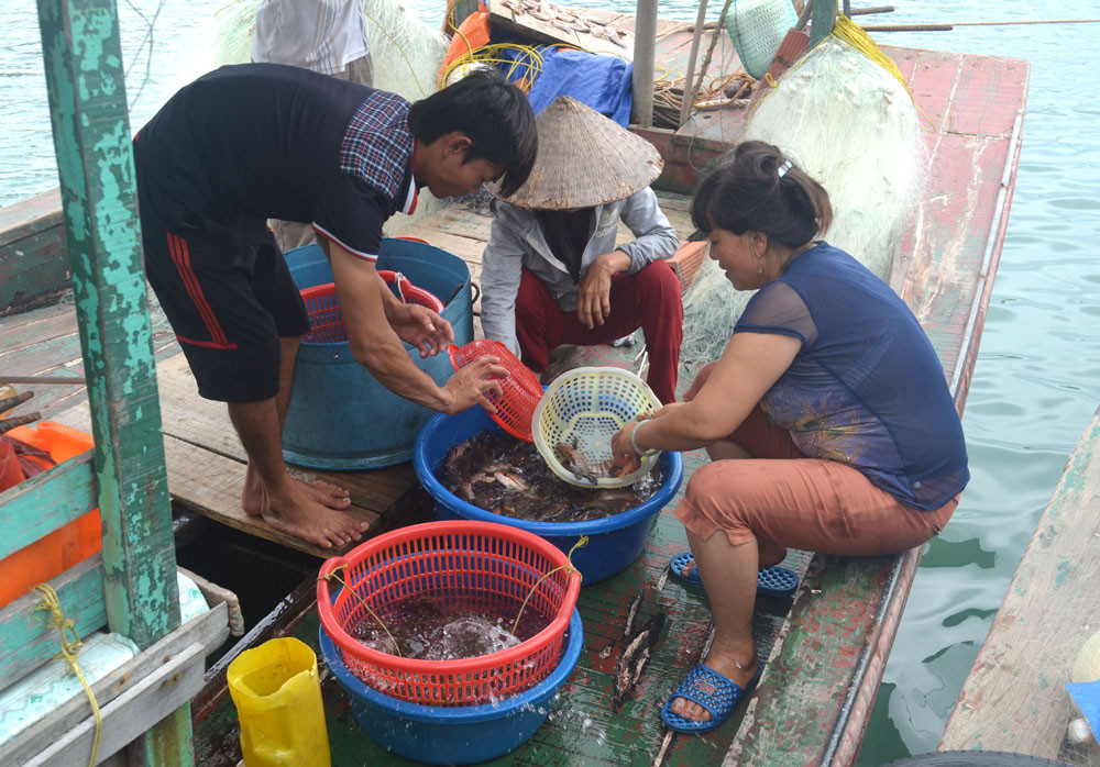 Người dân Thắng Lợi đa phần sinh sống bằng các nghề đánh bắt và nuôi trồng hải sản. Bạn có thể ghé vào tàu cá nào đó mua chút hải sản tươi sống để thưởng thức.