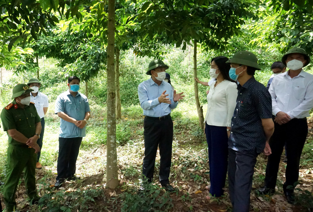Đồng chí Bí thư Tỉnh ủy