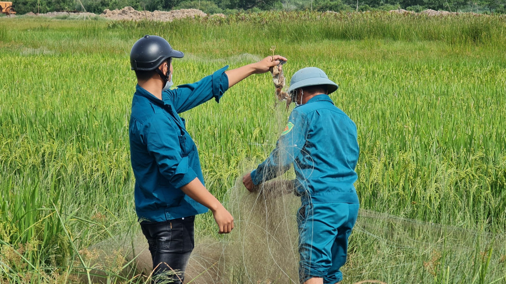 Thu giữ, tiêu hủy hàng nghìn mét lưới và nhiều dụng cụ khác sử dụng để săn bắt chim hoang dã.
