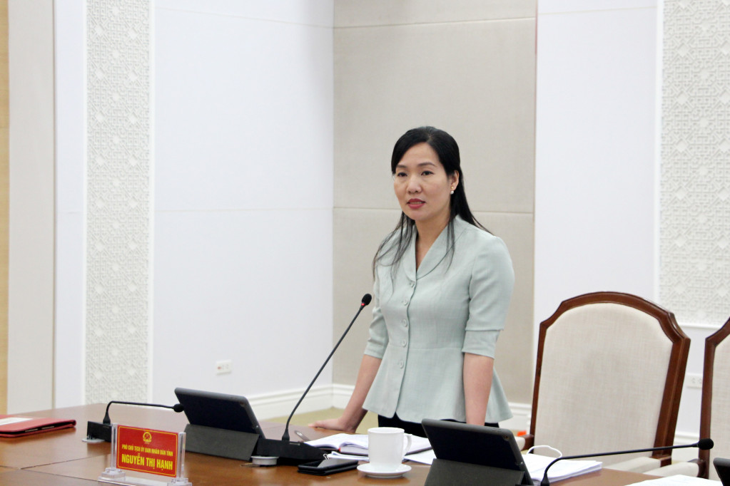 Đồng chí Nguyễn Thị Hạnh, Phó Chủ tịch UBND tỉnh phát biểu tại hội nghị.