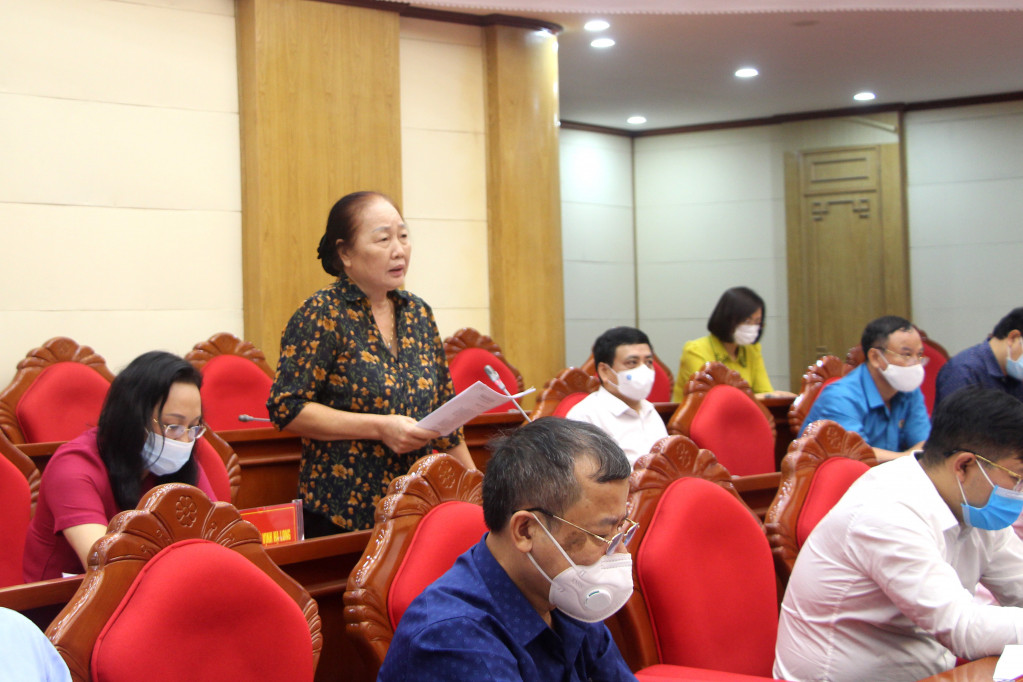 Lãnh đạo Hiệp hội Du lịch tỉnh phát biểu tại hội nghị.