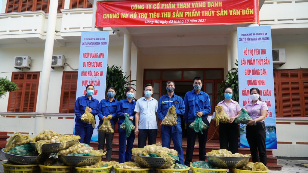 Trên 3 tấn ngao Vân Đồn đã được Công ty CP Than Vàng Danh hỗ trợ tiêu thụ.